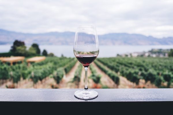 vino orgánico y vino tradicional